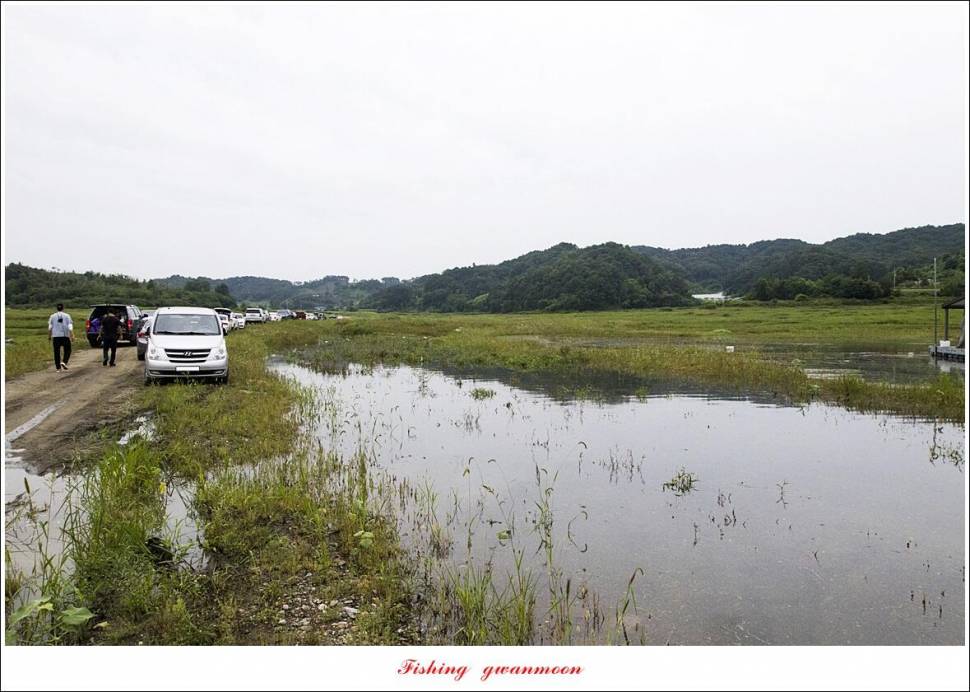 제일 4 짜 2 수돌감 4 짜목벌 4 짜 조황 (조황조행기 - 특파원조황)