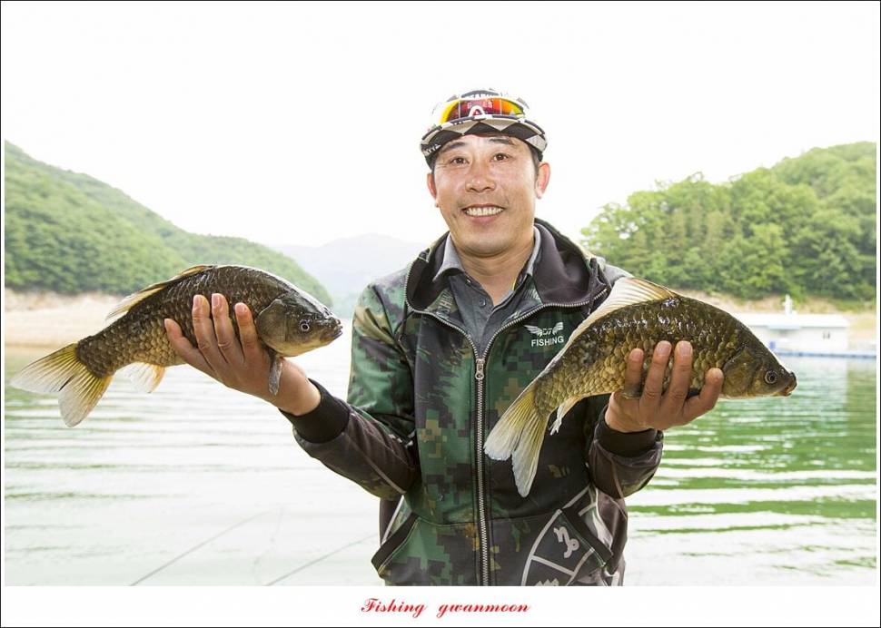 목벌 4 짜 마릿수 조황 (조황조행기 - 특파원조황)