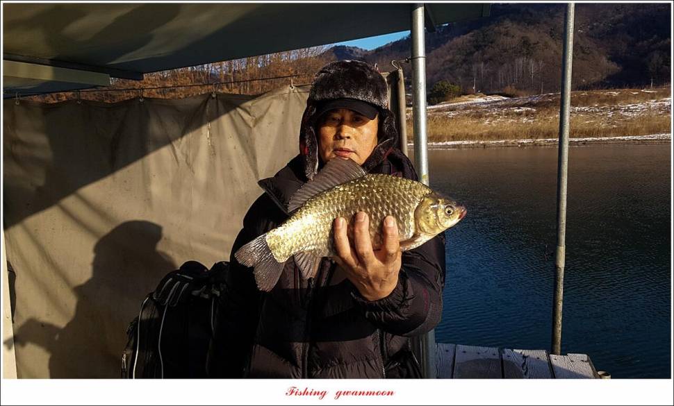 돌감 최대어 이벤트한버들 허리급 월척 조황 (조황조행기 - 특파원조황)