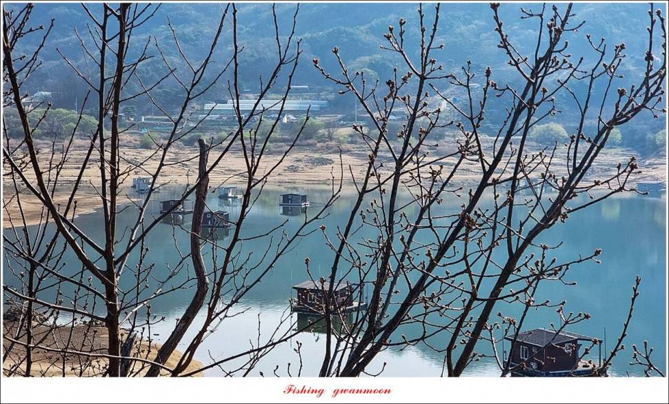 솔 4 짜화곡지 4 짜용원지소이지대제지 조황 (조황조행기 - 특파원조황)