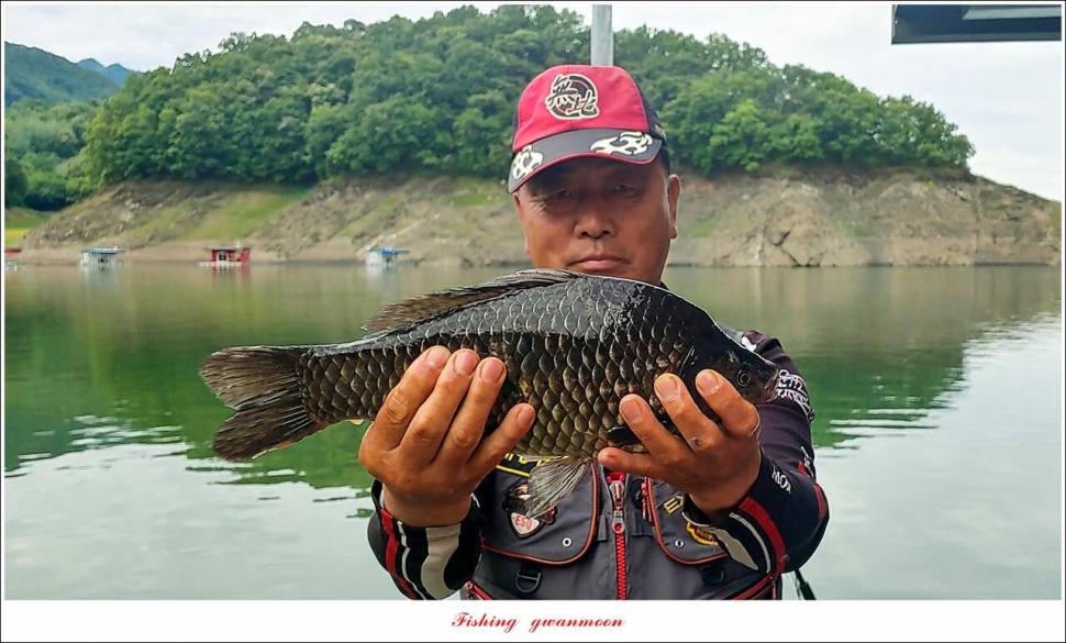 문골 39 cm 및 대물 조황 (조황조행기 - 특파원조황)