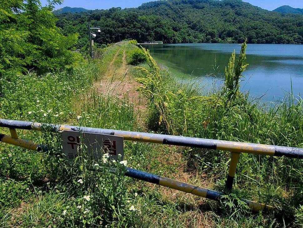 괴산음성 저수지 및 목벌 낚시터 조황 (조황조행기 - 특파원조황)
