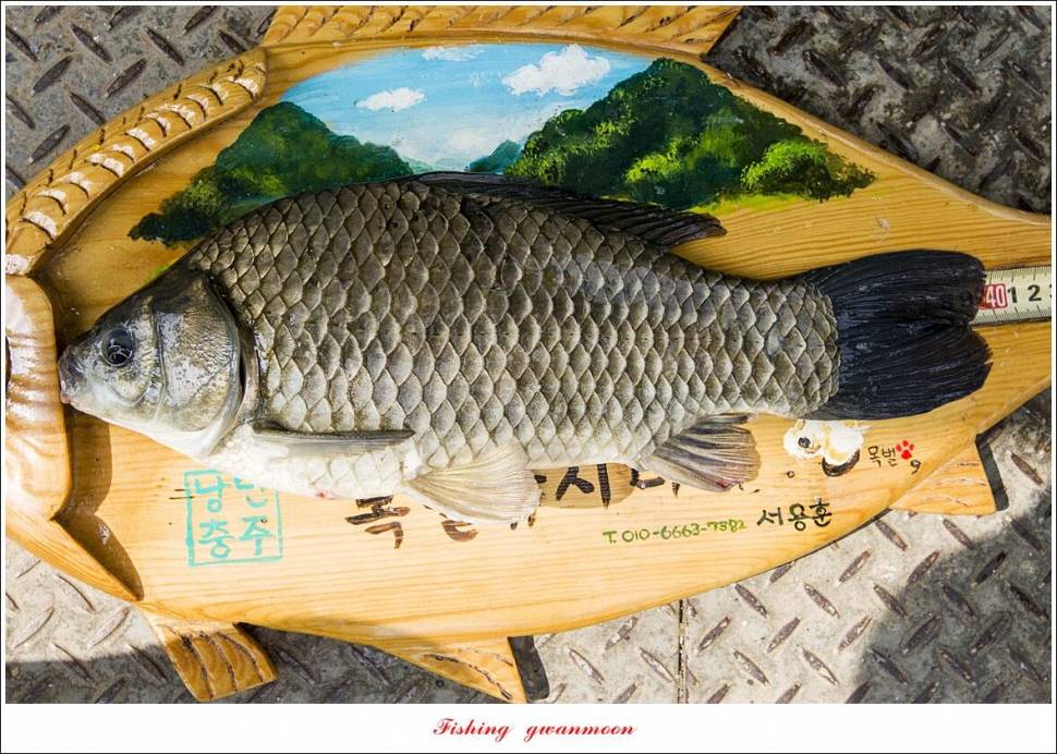 한버들 4 짜목벌 4 짜화곡지 4 짜달천강 4 짜 (조황조행기 - 특파원조황)