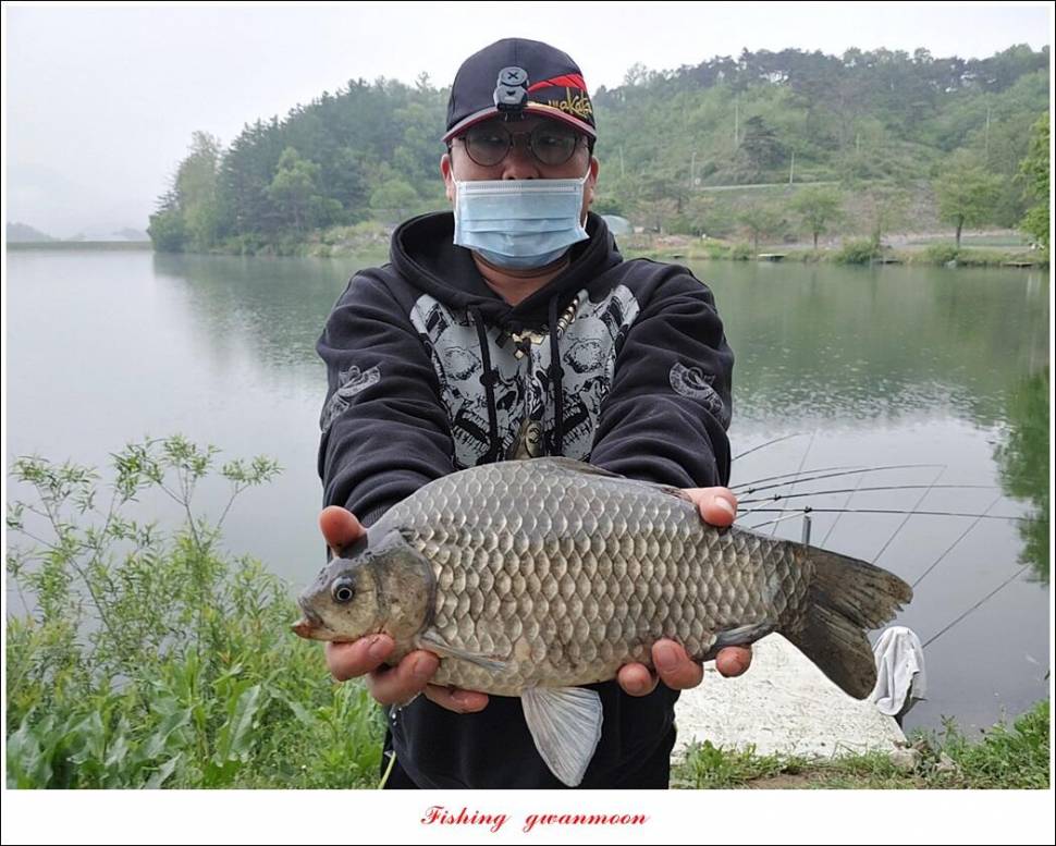 신리 44 cm실리곡 41 cm돌감 405 cm칠성지 대물 조황 (조황조행기 - 특파원조황)