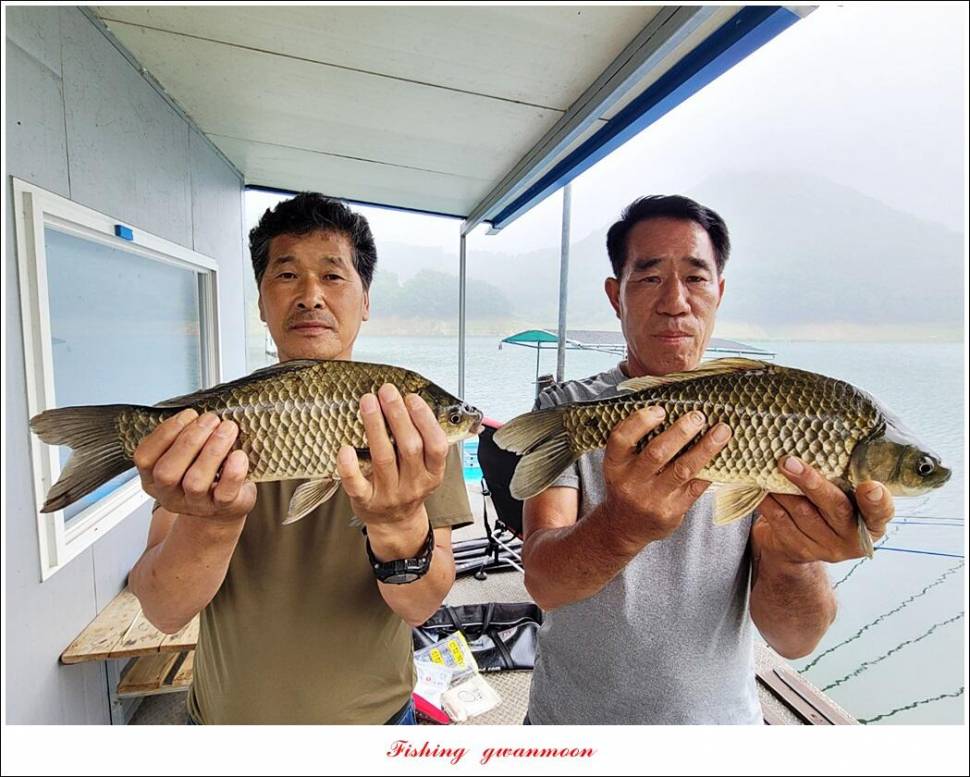 충주호 2 차 오름수위명서목벌화곡지 조황 (조황조행기 - 특파원조황)