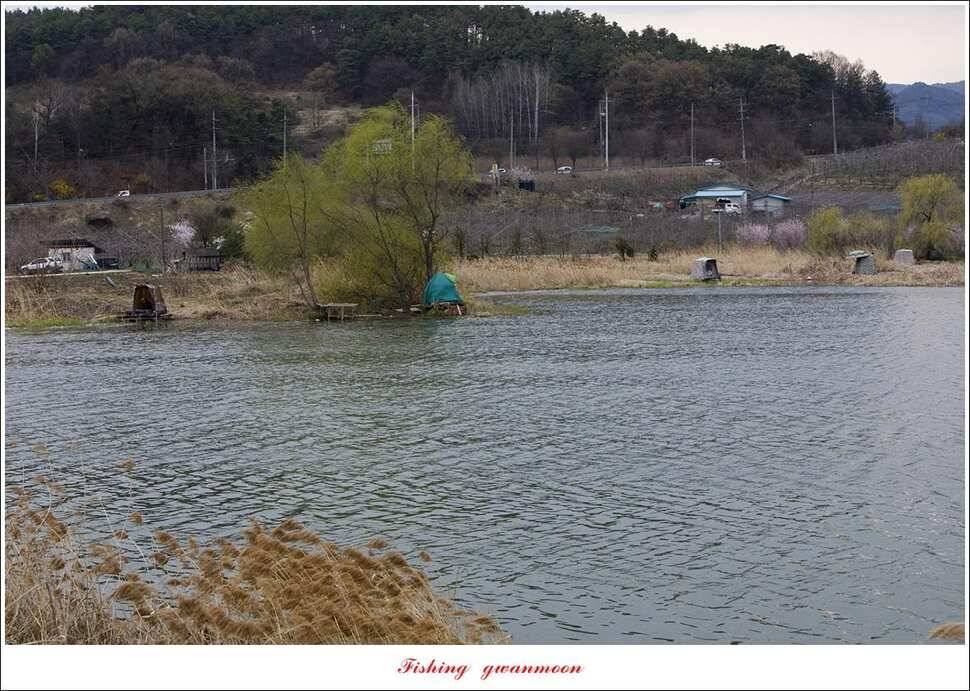 돌감 좌대추평지대제지 현황 (조황조행기 - 특파원조황)