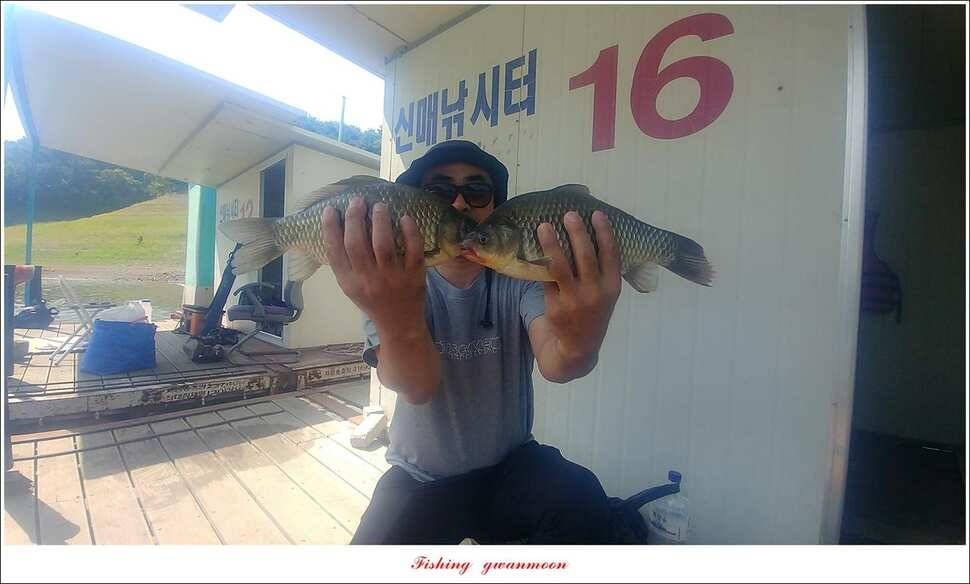 늘푸른 월척키로장어신매 월척돌감 월척 조황 (조황조행기 - 특파원조황)