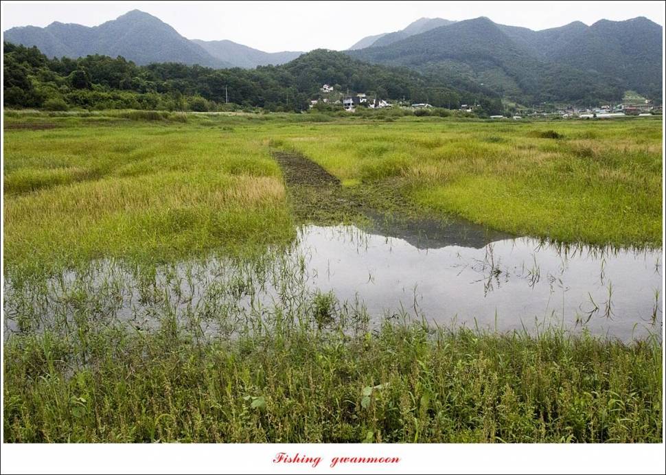 제일 4 짜 2 수돌감 4 짜목벌 4 짜 조황 (조황조행기 - 특파원조황)