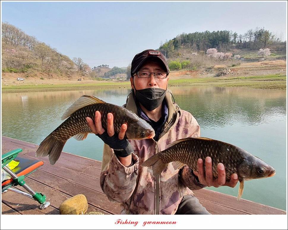 신리 4 짜 7 수실리곡 4 짜 4 수한버들 4 짜 3 수 (조황조행기 - 특파원조황)