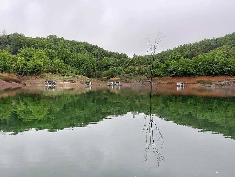 제일 4 짜실리곡 4 짜신리 4 짜 및 이벤트돌감 월척 조황 (조황조행기 - 특파원조황)