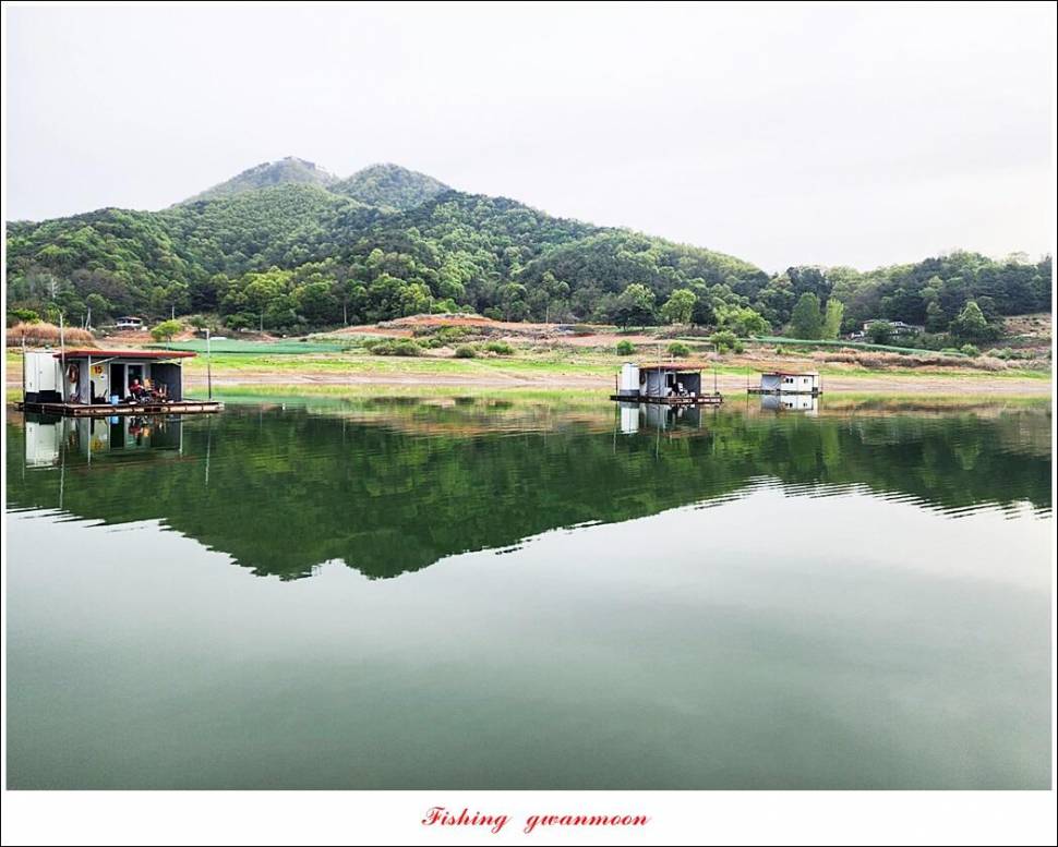 화곡지 4 짜 및 청풍호 조황 소식 (조황조행기 - 특파원조황)