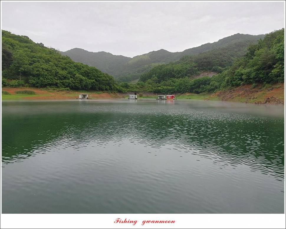 낚시 금지 관련 국회 청원 운동에 동참 합니다 (조황조행기 - 특파원조황)