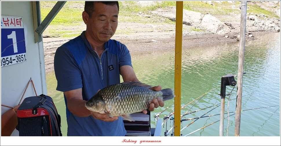 돌감 385 cm늘푸른 37cm35 cm월척 및 장어 조황 (조황조행기 - 특파원조황)