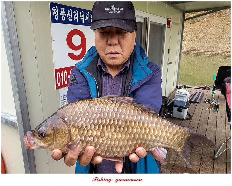신리 44 cm실리곡 41 cm돌감 405 cm칠성지 대물 조황 (조황조행기 - 특파원조황)