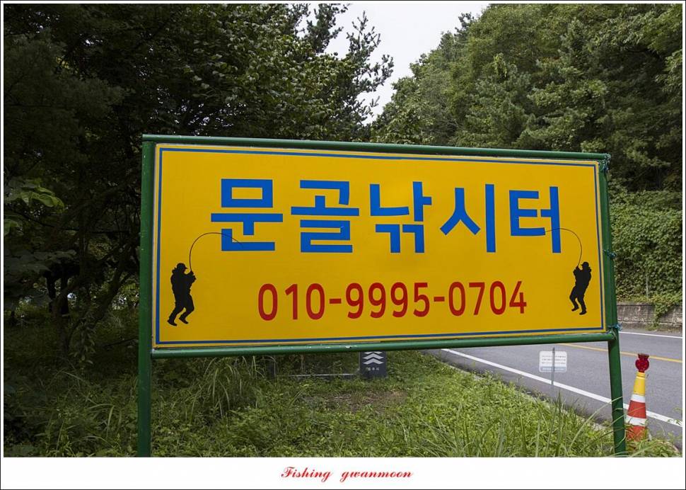 문골 42 cm명서 40 cm 달천강화곡지 조황 (조황조행기 - 특파원조황)