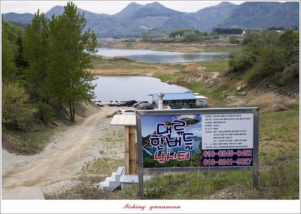 한버들 4 짜신리 4 짜실리곡 4 짜대물 조황 (조황조행기 - 특파원조황)