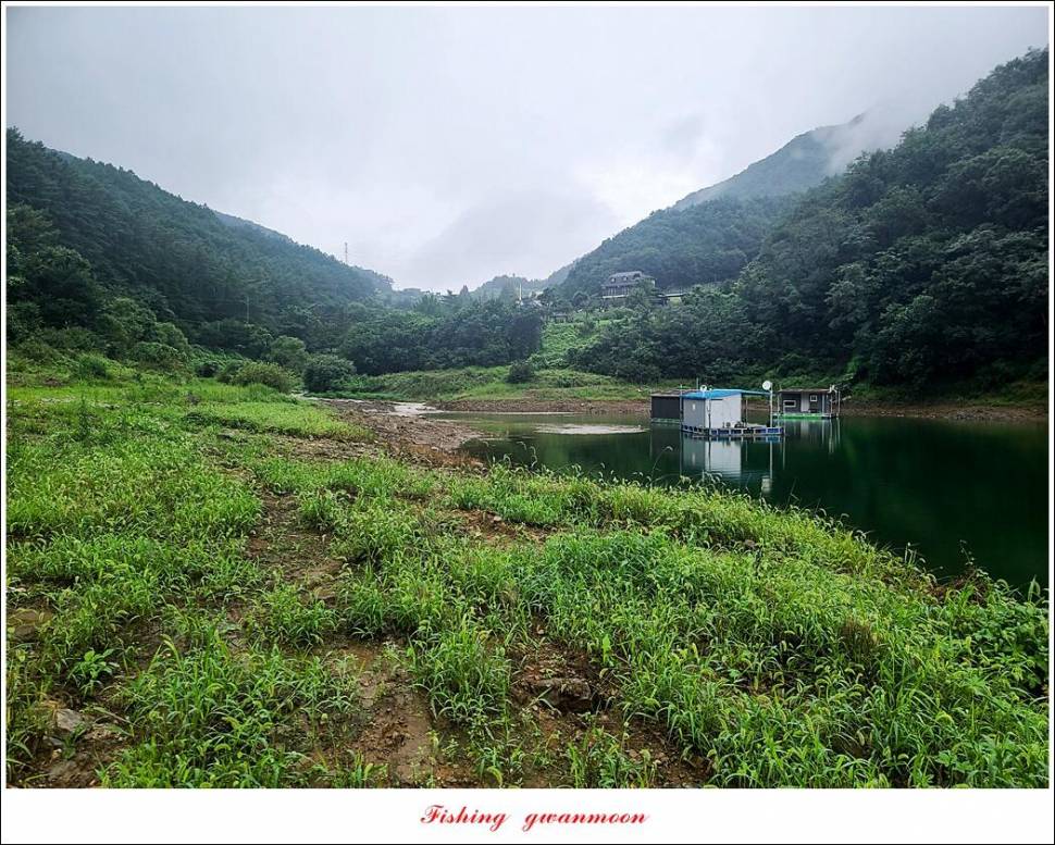 충주호 만수위 및 신리 4 짜 대물 조황 (조황조행기 - 특파원조황)