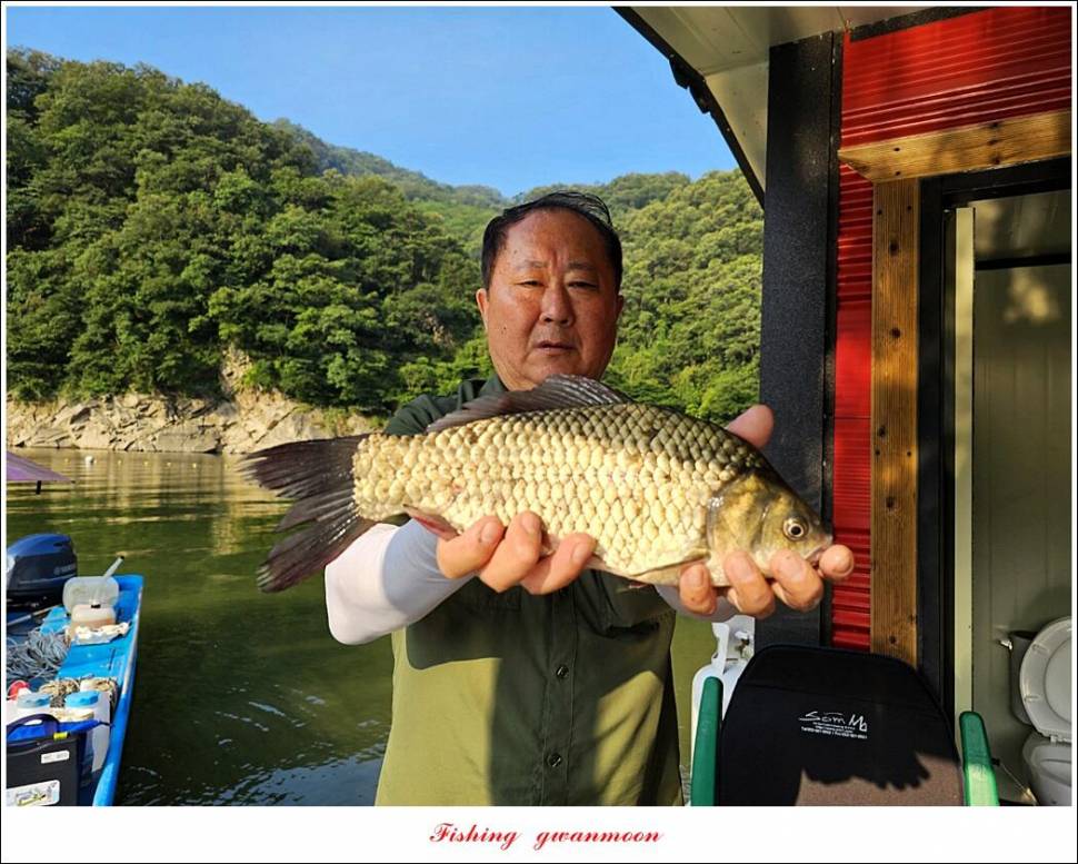 명서한버들 조황 소식 (조황조행기 - 특파원조황)