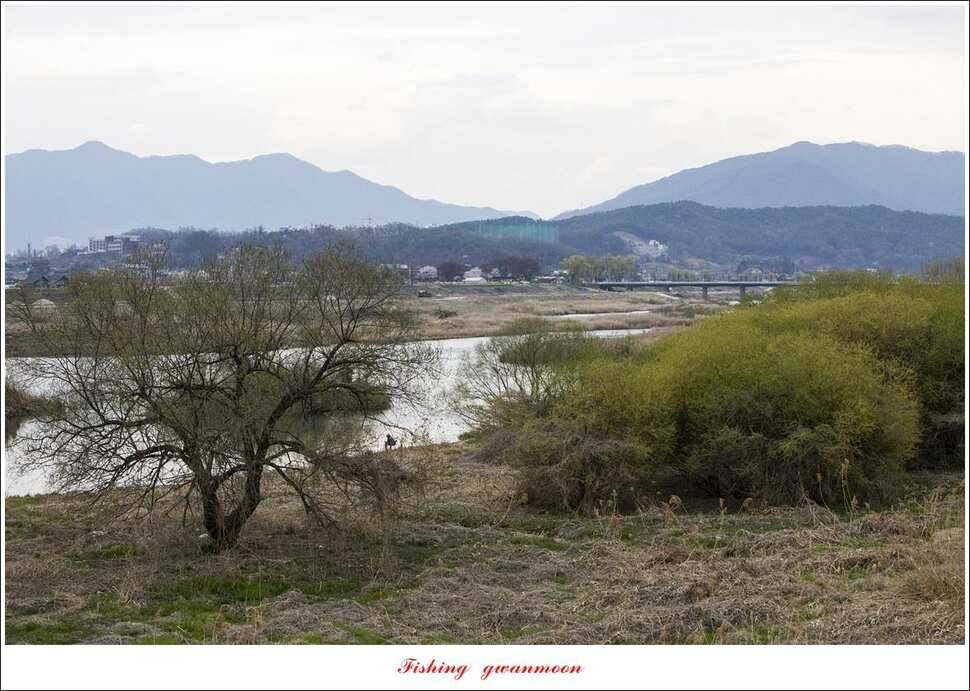 돌감 좌대추평지대제지 현황 (조황조행기 - 특파원조황)