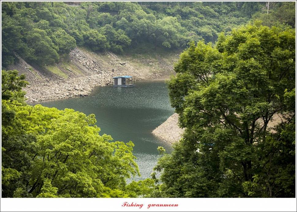 목벌 4 짜 마릿수 조황 (조황조행기 - 특파원조황)