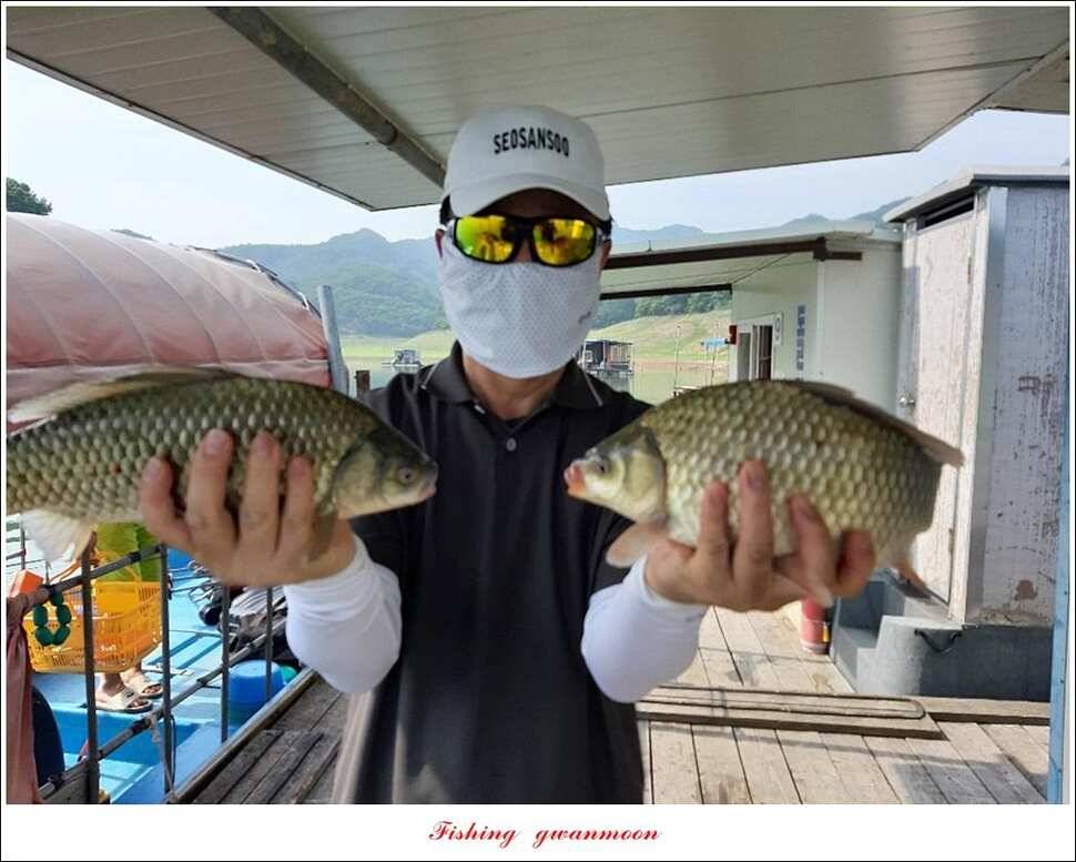 병호 월척장어돌감 38 cm385 cm솔 40 cm (조황조행기 - 특파원조황)