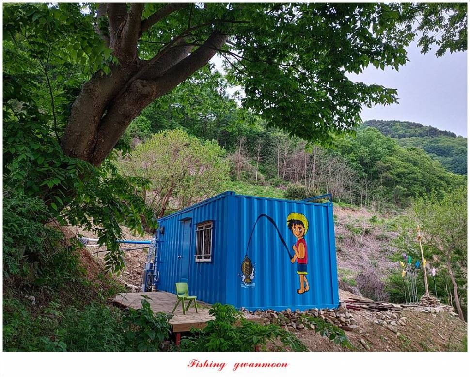 돌감 4 짜화곡지 4 짜 마릿수 조황 (조황조행기 - 특파원조황)