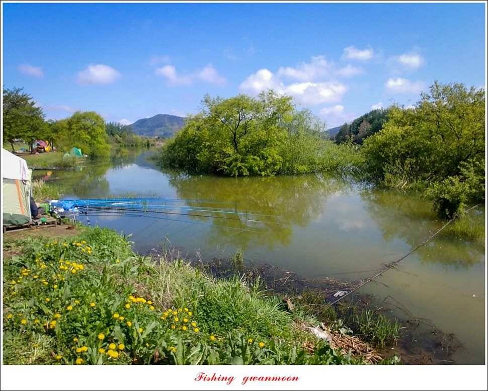 화곡지 사짜칠성지달천강추평지 조황 (조황조행기 - 특파원조황)
