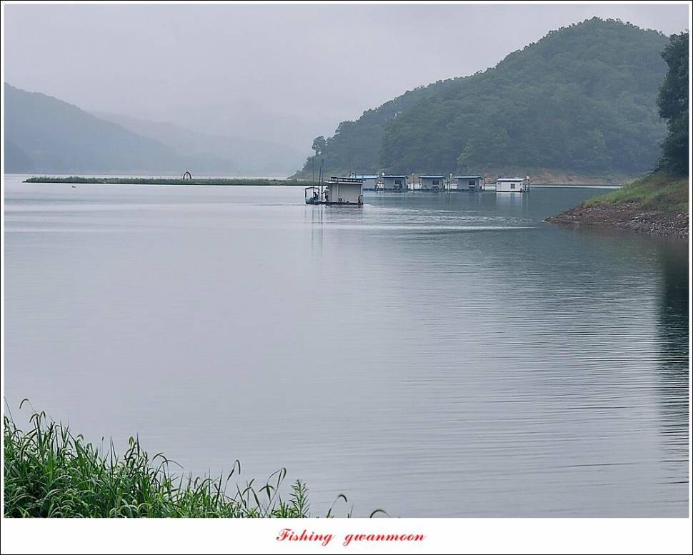 충주호 만수위 및 신리 4 짜 대물 조황 (조황조행기 - 특파원조황)