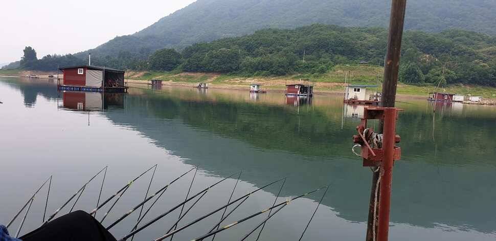 솔 42 43cm 대물붕어 목벌에도 4짜 꽃바위 키로급장어 허리급 붕어조황 (조황조행기 - 특파원조황)