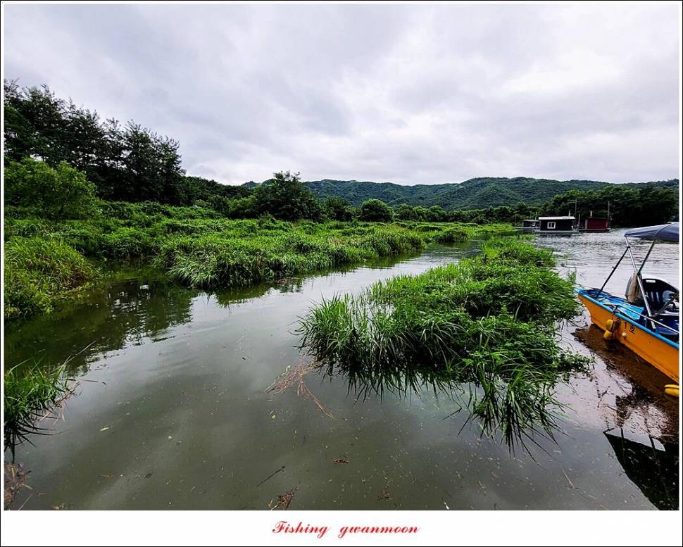 충주호 만수위 및 신리 4 짜 대물 조황 (조황조행기 - 특파원조황)
