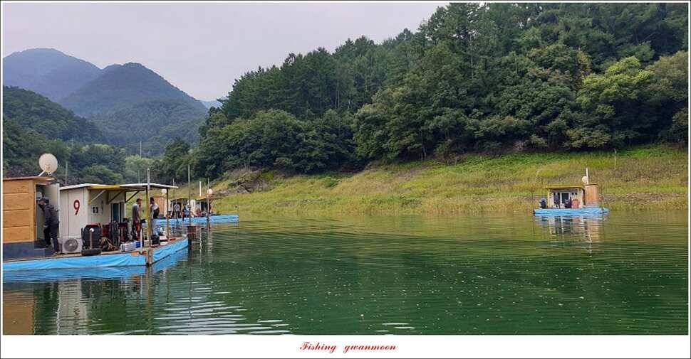 늘푸른 키로 장어제일 월척 조황 (조황조행기 - 특파원조황)