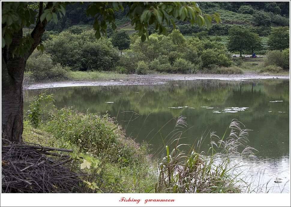 제일 낚시터칠성지 조황 (조황조행기 - 특파원조황)
