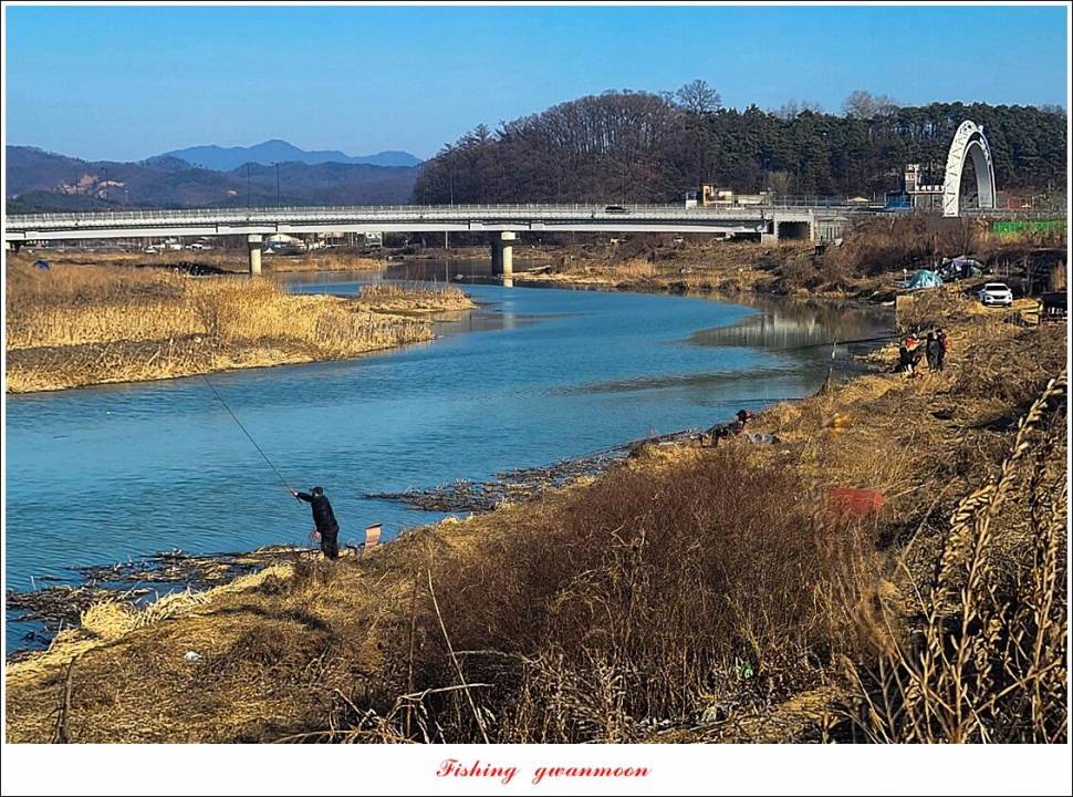 돌감 38 cm 및 화곡지외 주변 조황 (조황조행기 - 특파원조황)