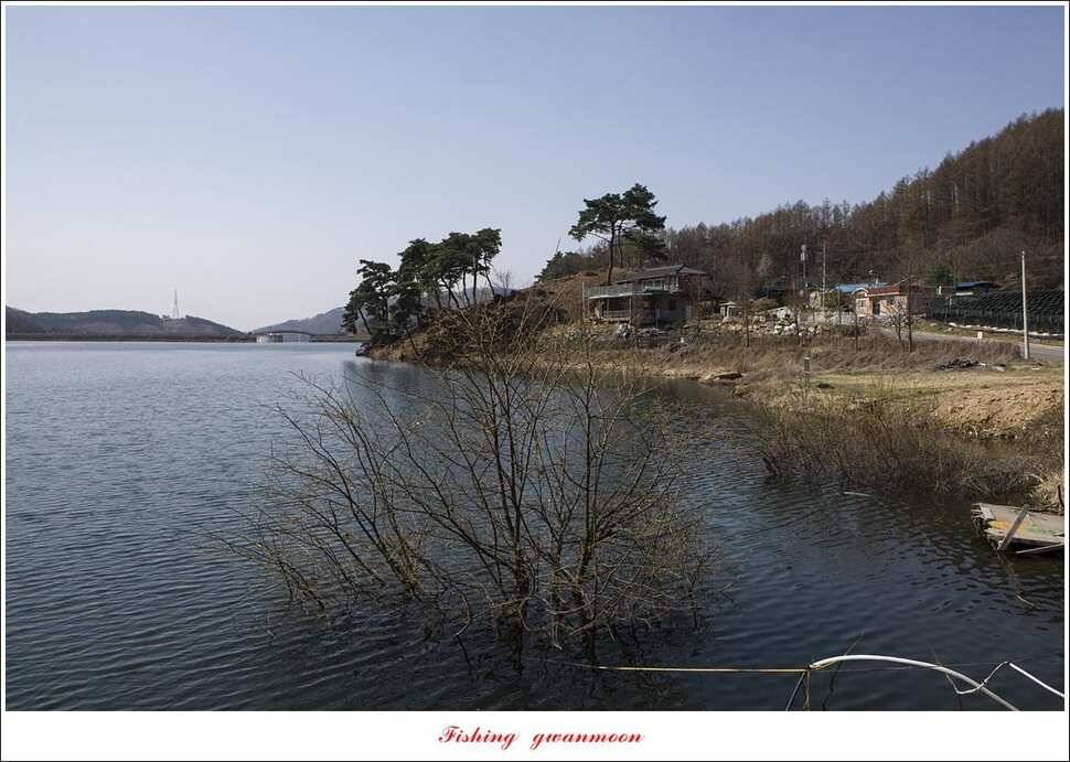 돌감 좌대추평지대제지 현황 (조황조행기 - 특파원조황)