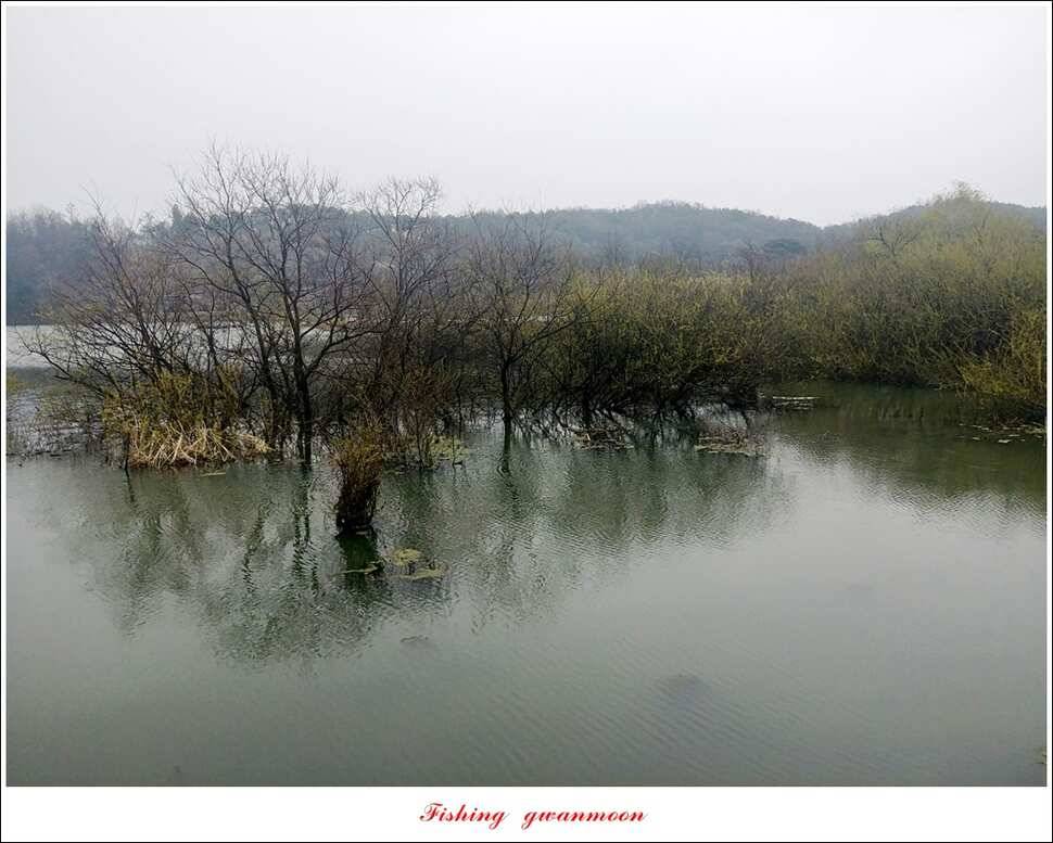 칠성지 월척 조황 (조황조행기 - 특파원조황)