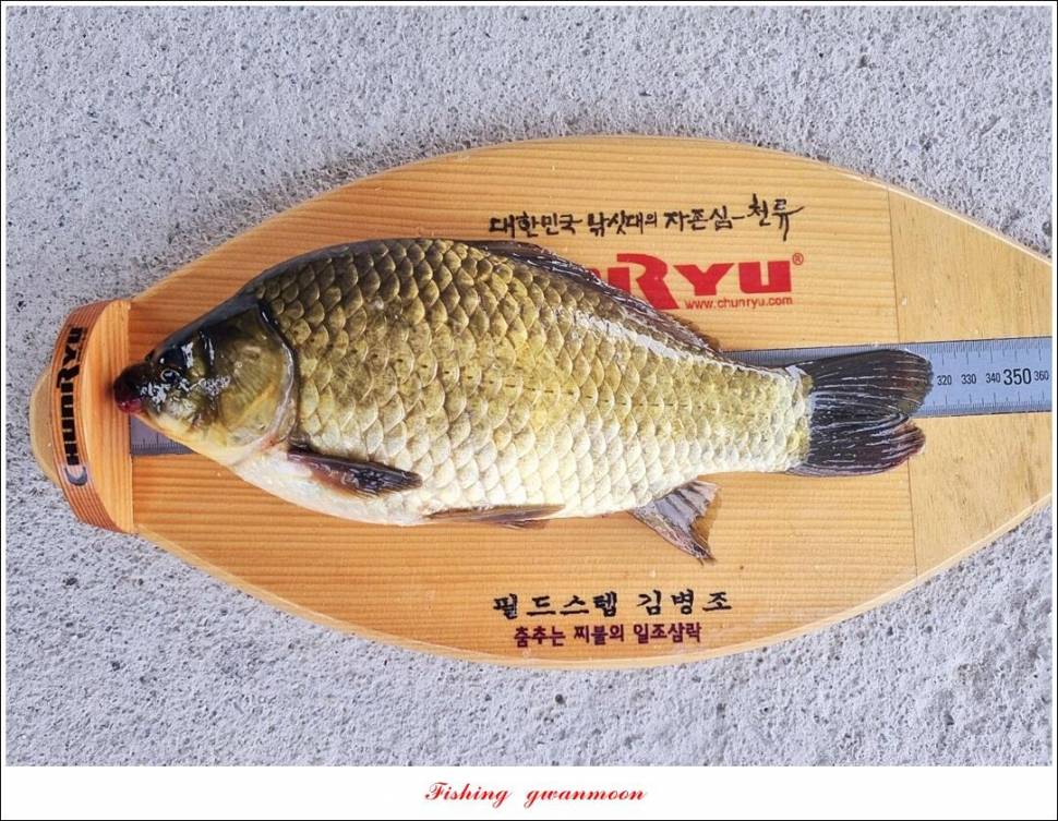 화곡지 4 짜소류지 4 짜 대물 조황 (조황조행기 - 특파원조황)