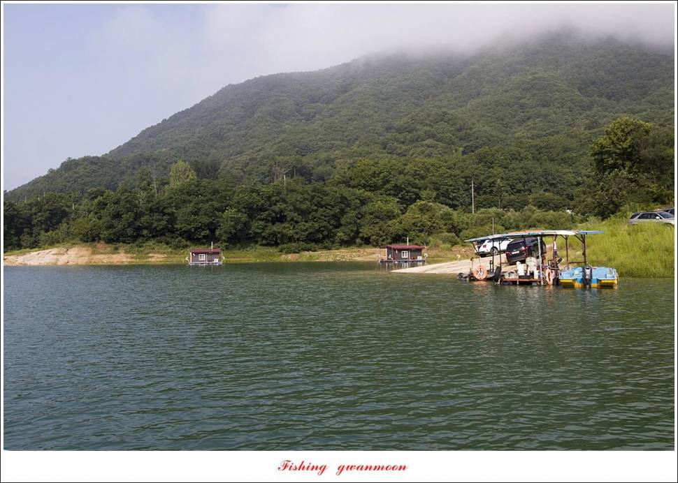 솔 4 짜 3 수 및 마릿수 대물종점 4 짜 조황 (조황조행기 - 특파원조황)