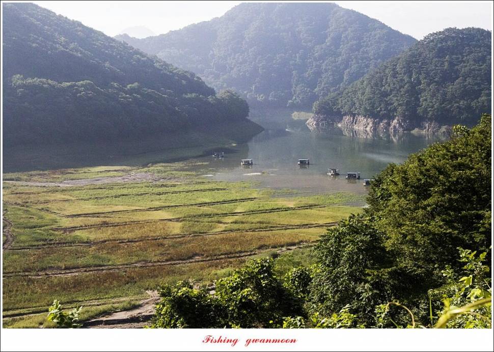 명서 노지사오리소이지 4 짜 및 월척 호조황 (조황조행기 - 특파원조황)