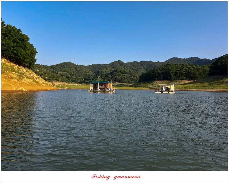 늘푸른 월척키로장어신매 월척돌감 월척 조황 (조황조행기 - 특파원조황)