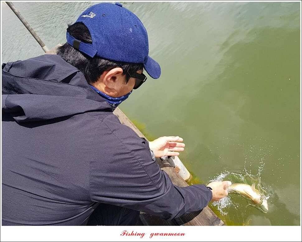 한버들 4 짜 2 수신리 4 짜실리곡 월척칠성지 4 짜 조황 (조황조행기 - 특파원조황)