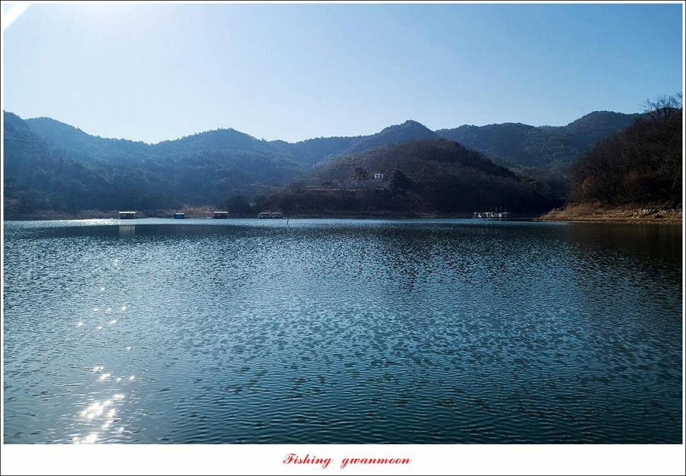 돌감 38 cm 및 화곡지외 주변 조황 (조황조행기 - 특파원조황)