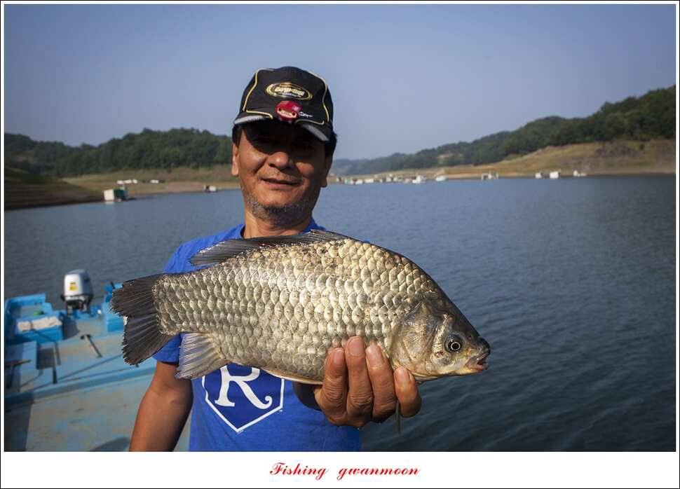 늘푸른 395 cm병호 35 cm한버들 월척 조황 (조황조행기 - 특파원조황)