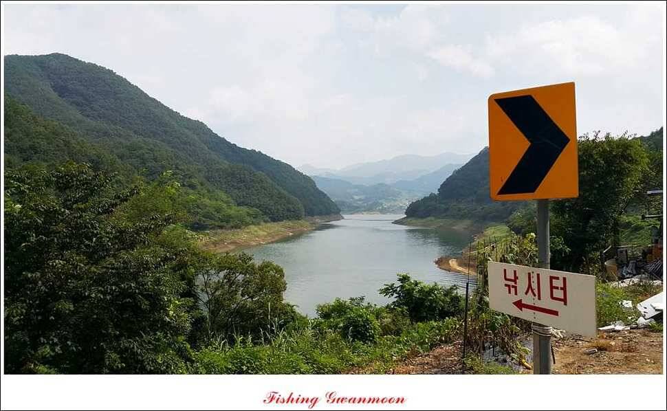 실리곡돌감한버들 조황 (조황조행기 - 특파원조황)