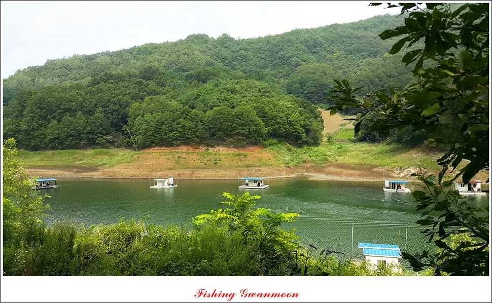 실리곡돌감한버들 조황 (조황조행기 - 특파원조황)