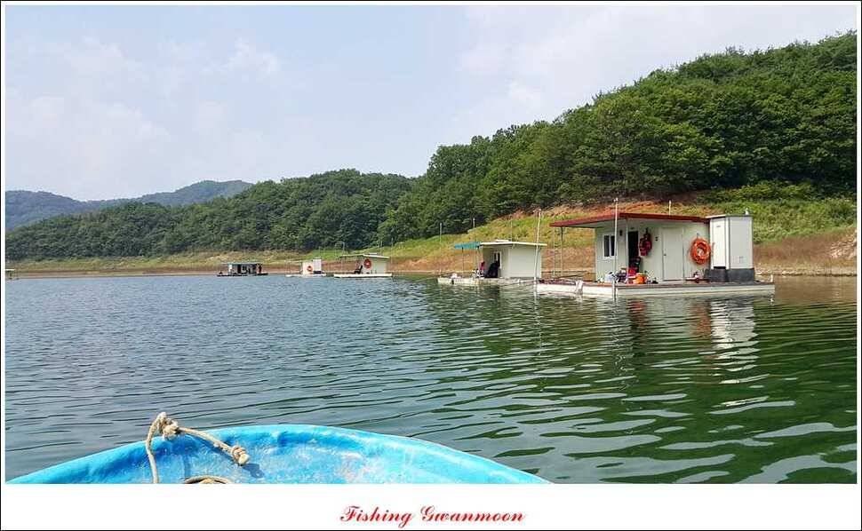 실리곡돌감한버들 조황 (조황조행기 - 특파원조황)