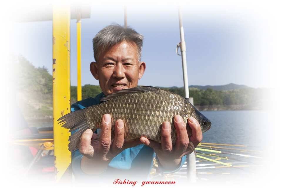 늘푸른화곡지돌감실리곡한버들 조황 (조황조행기 - 특파원조황)