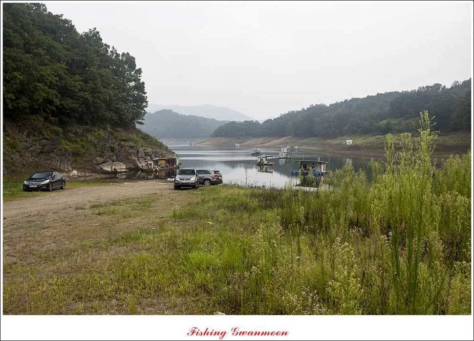 문골 키로장어한버들 마릿수실리곡 마릿수 조황 (조황조행기 - 특파원조황)