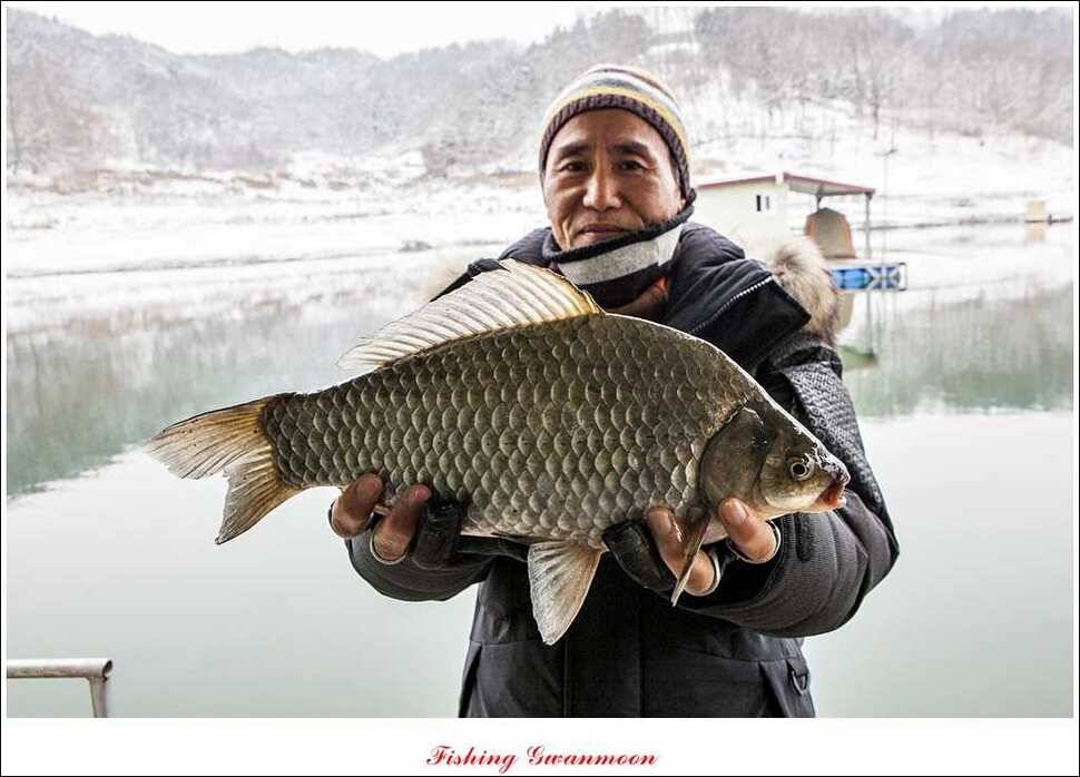 제일 40 cm 실리곡 월척 (조황조행기 - 특파원조황)