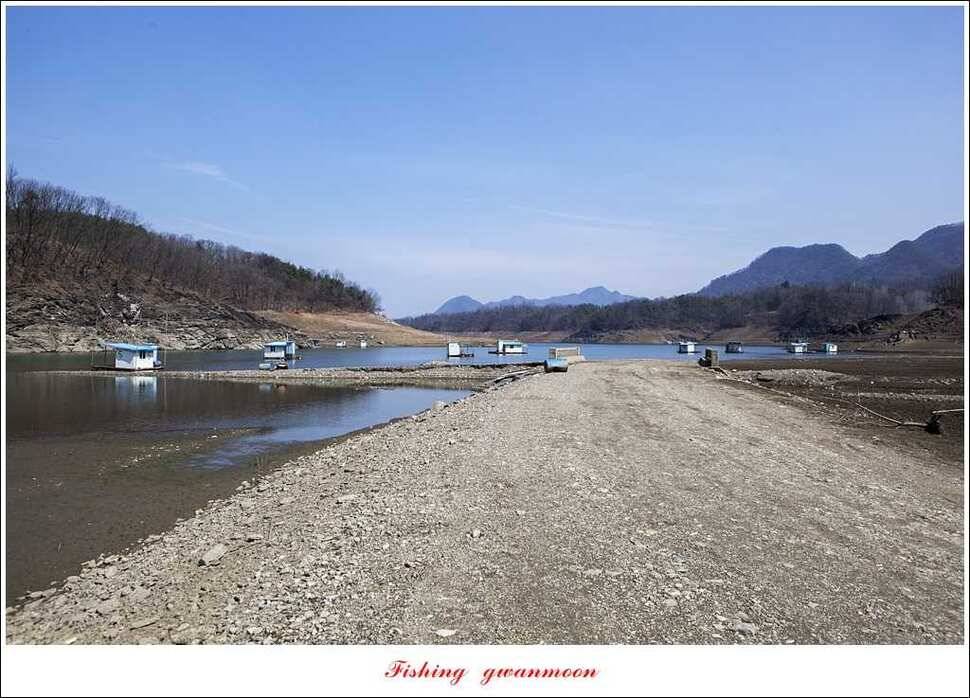 매전지 월척충주호 좌대노지 현황 (조황조행기 - 특파원조황)