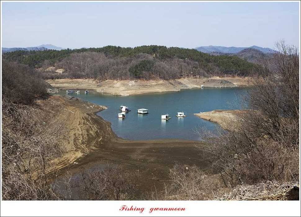 매전지 월척충주호 좌대노지 현황 (조황조행기 - 특파원조황)